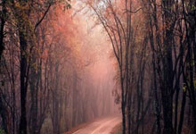 亚星体育：[英超]恩西索角球开出 格里夫斯抢点头球破门.