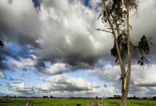 凯塞多本场9对抗8成功+4抢断3造犯规 3成功长传 获评7.8分.