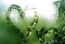 中国民营企业座谈会召开，习近平强调民营经济重要性.