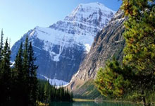 季后赛12强外援确定！三队三外援，辽粤按兵不动，广厦或成大赢家.