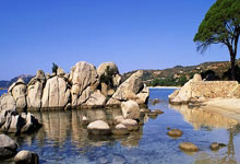 [欧冠]击败马竞 勒沃库森收获本赛季欧冠首胜.